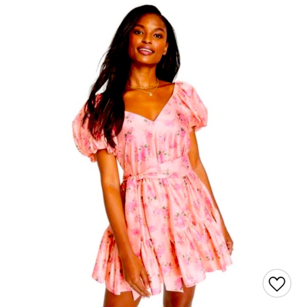 NWT Princess mini dress